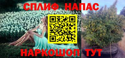 гашик Изобильный