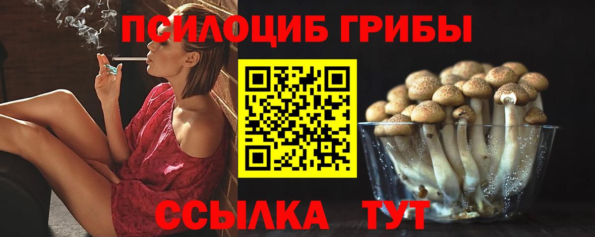 Псилоцибиновые грибы прущие грибы  Вход с VPN  Кулебаки  Псилоцибиновые грибы ЛСД 
